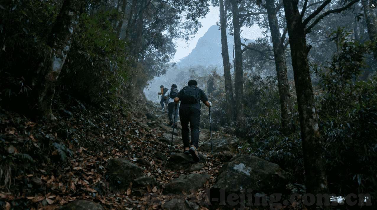 哈维得到了世界杯冠军-哈维，绿茵场上的指挥官，世界杯冠军的辉煌篇章